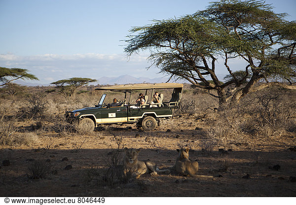 camping  Reichtum  Safari  Gast  Geländewagen  Kenia