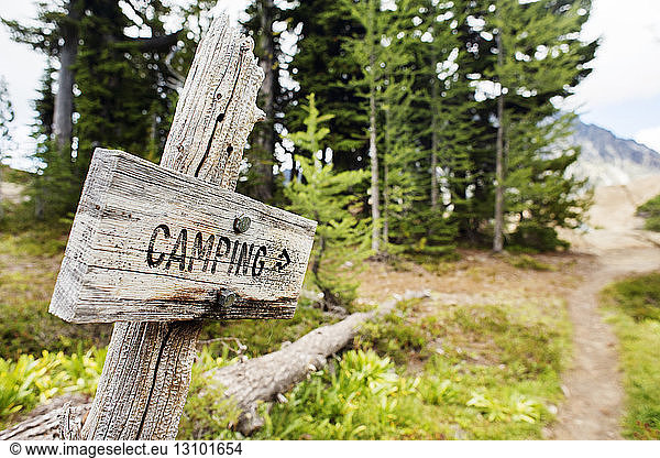 Camping sign board in Wenatchee National Forest