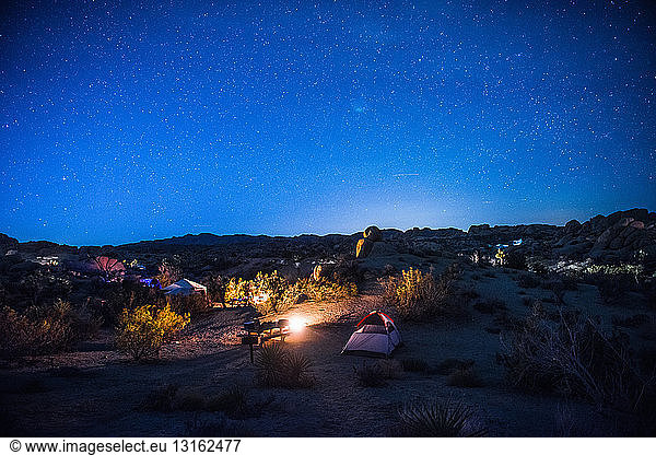 Campingplatz bei Nacht  Joshua-Tree-Nationalpark  Kalifornien  USA