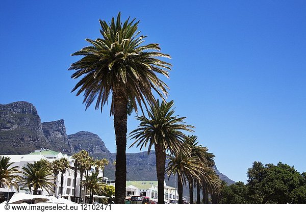 Camps bay South Africa