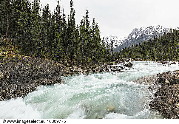 Canada  Alberta  Banff National Park  Icefields Parkway    Mistaya Canyon  Mistaya River