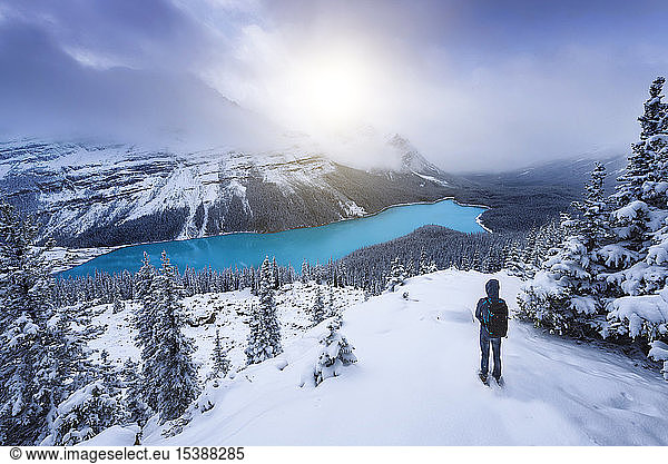 Canada  Alberta  Banff National Park  Peyto Lake  man enjoying view