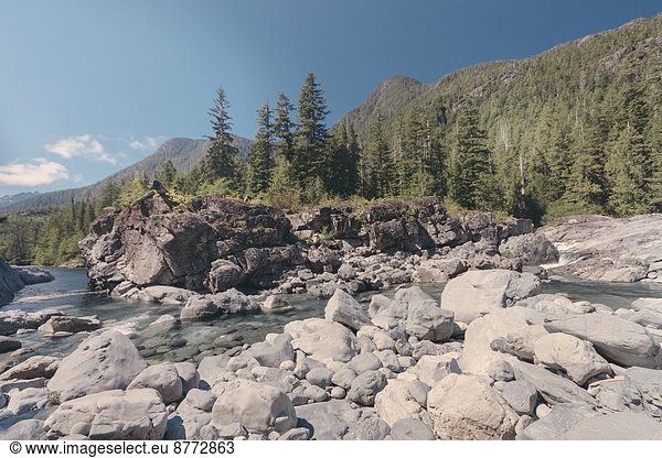 Canada  British Columbia  Natural creek