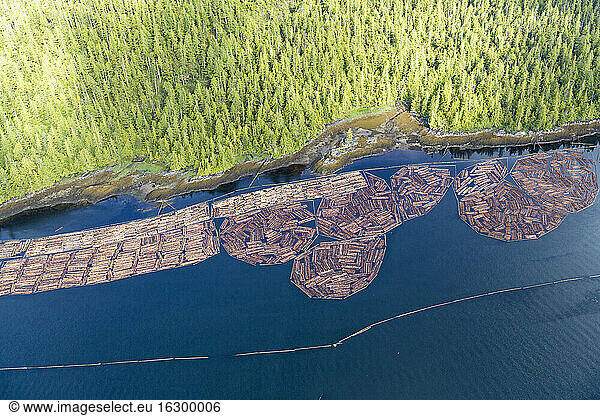 Canada  British Columbia  Prince Rupert  wood industry  wood at the seaside