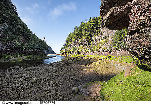 Canada  New Brunswick  Alma  Point Wolfe River in Fundy National Park
