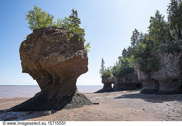 Canada  New Brunswick  Hopewell Rocks formation at Bay of Fundy