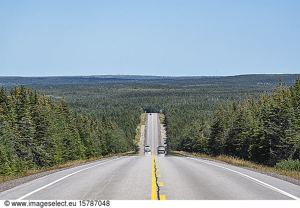 Canada  Nova Scotia  Diminishing perspective of highway surrounded by green vast forest