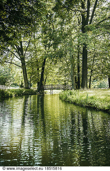 Canal amidst lush trees in spree forest