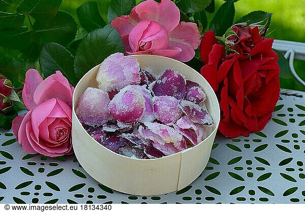 Candied rose petals in box  sugared  sugared  rose petals