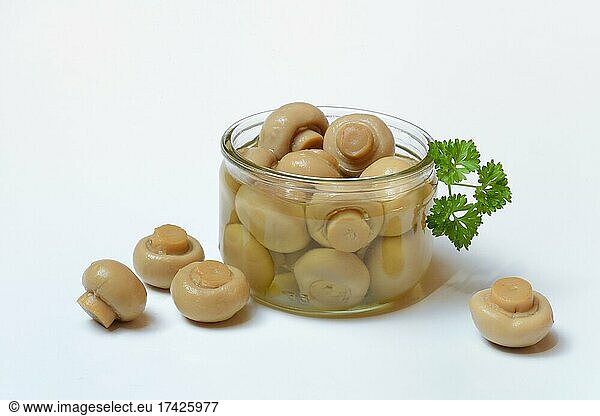 Canned common mushrooms (Agaricus bisporus) in jar