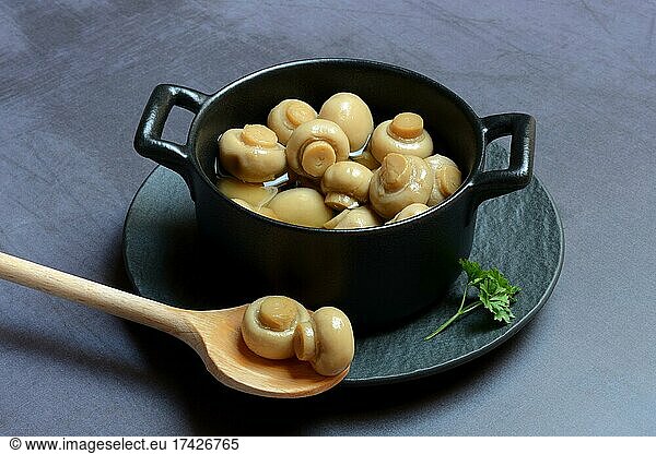 Canned common mushrooms (Agaricus bisporus) in pot