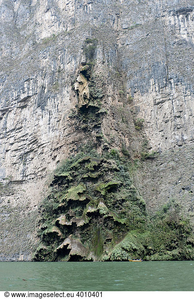 Canon del Sumidero  Sumidero Schlucht  Sumidero Canyon  mit der Kalksteinformation El Arbol de Navidad  Weihnachtsbaum  bei Chiapa de Corzo  Chiapas  Mexiko  Zentralamerika