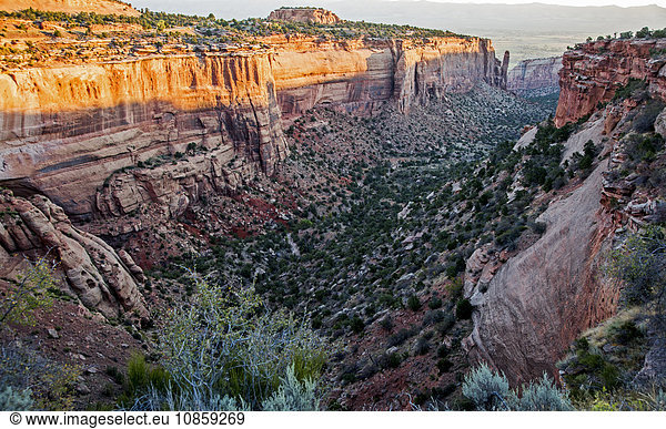 Canyon  Colorado National Monument  Colorado  Vereinigte Staaten von Amerika
