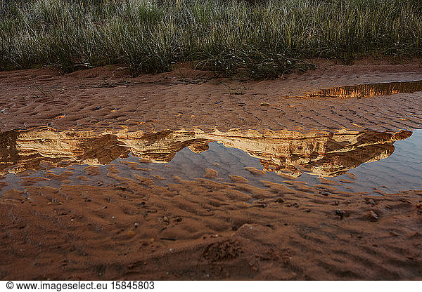 canyon walls reflected in a sandy mud puddle in a desert spring