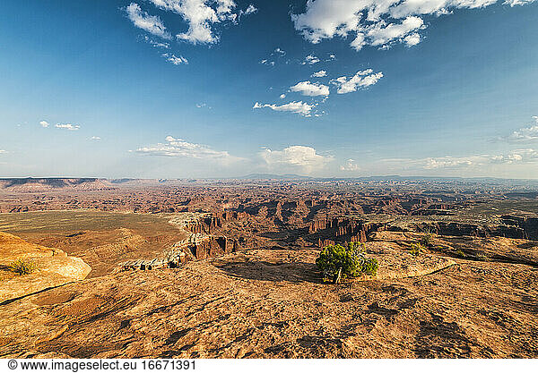 Canyonlands-Nationalpark  Utah  USA