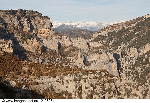 Canyons of the Sierra de Guara  Province of Huesca  Aragón  Spain