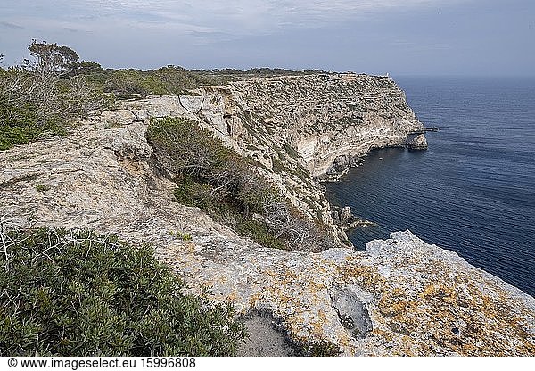 Cap Blanc  southern coast of Mallorca  Balearic Islands  Spain.