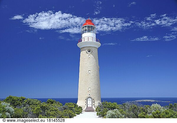 Cape Du Couedic Lighthouse  Flinders Chase National Park  Kangaroo Island  South Australia  Australia  Oceania