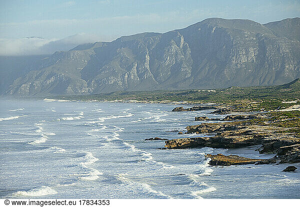 Cape Nature Walker Bay  Westkap  Südafrika  Afrika