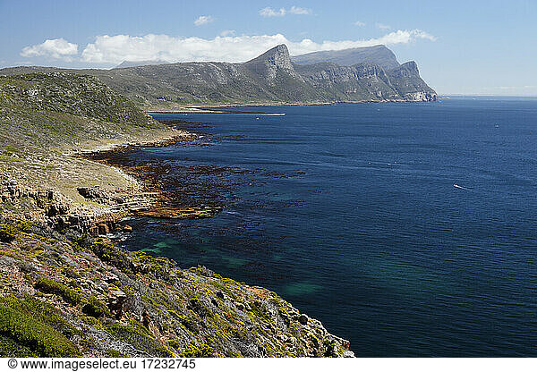 Cape Point Nature Reserve  False Bay  Westkap  Südafrika  Afrika