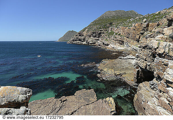 Cape Point Nature Reserve  False Bay  Westkap  Südafrika  Afrika