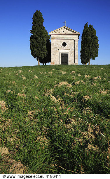 Capella di Vitaleta bei San Quirico d'Orcia  Crete  Toskana  Italien