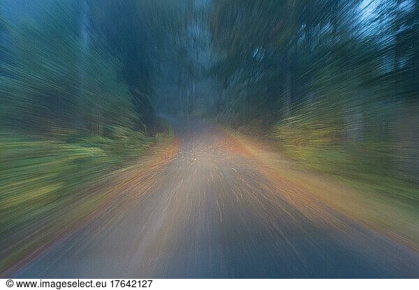 Car driving on autumnal wet road through the forest at dawn  Neuschoenau  Bavaria  Germany  Europe
