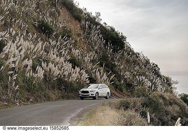 Car driving up hillside with pampas grass in Big Sur