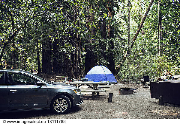 Car parked by wooden table in forest