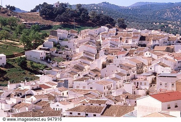 Carabuey in der Provinz Córdoba. Andalusien. Spanien