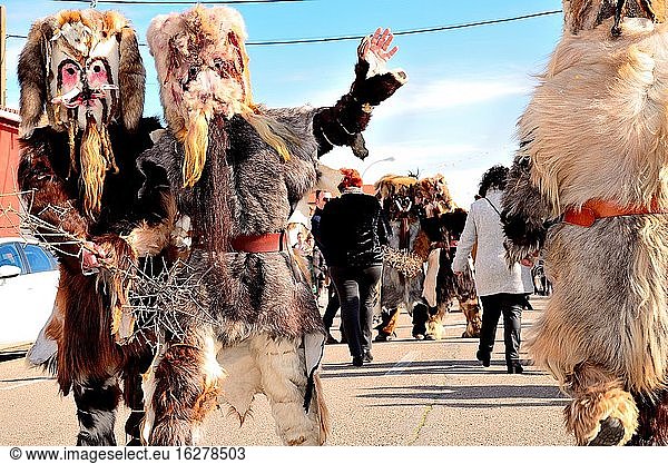 Caranto?as. Tiermaske des Rituals von San Sebastian  Acehuche  Caceres  Spanien