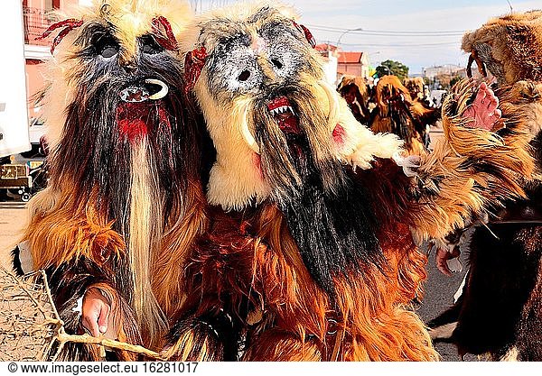 Caranto?as. Tiermaske des Rituals von San Sebastian  Acehuche  Caceres  Spanien