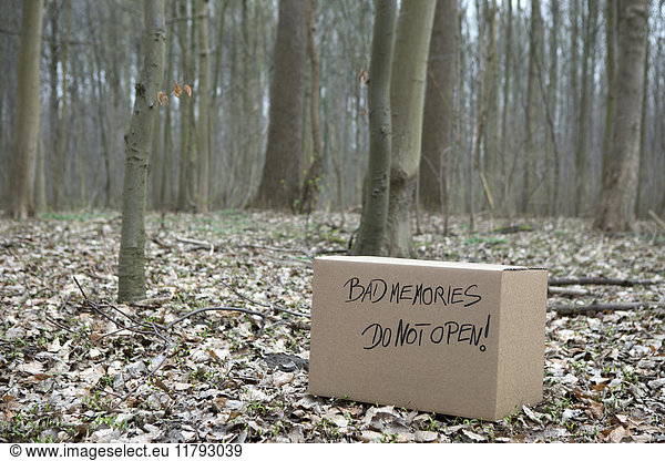 Cardboard box with 'Bad memories' in the woods