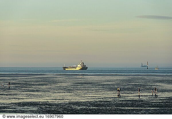Cargo ship on world shipping route Elbe at the Wadden Sea  Cuxhaven  Lower Saxony  Germany  Europe