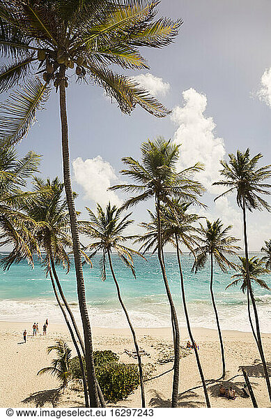 Caribbean  Antilles  Lesser Antilles  Barbados  Bottom Bay  beach