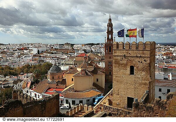 Carmona in der Provinz Sevilla  Blick vom Alkazar de la Puerta de Sevilla auf den Torre del Oro  die Kathedrale San Pedro und die Altstadt  Andalusien  Spanien  Europa