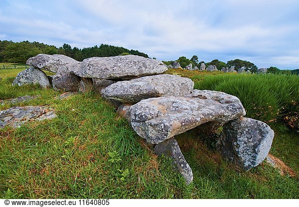 Carnac  Kermario alignment  Dolmen  Megalithic stones  Megalitic alignments  Morbihan  Bretagne  Brittany  France  Europe.