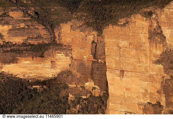 Carne Wall from Evans Lookout  Blue Mountains National Park  New South Wales  Australia. (Photo by: Auscape/UIG)