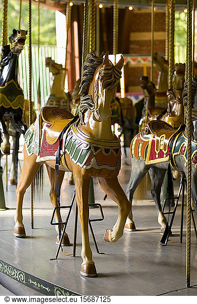 carousel  amusement  horse