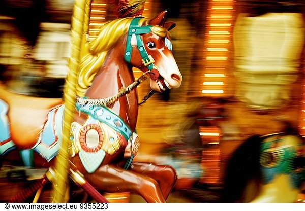 Carousel. Horses florence italy.