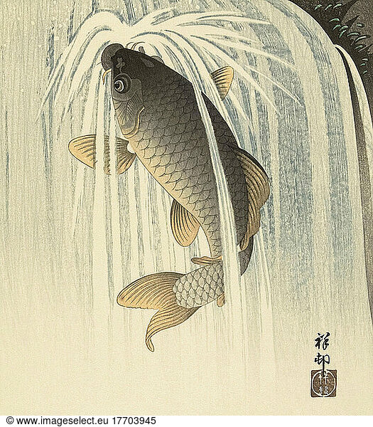 Carp Under a Waterfall  by Japanese artist Ohara Koson  1877 - 1945. Ohara Koson was part of the shin-hanga  or new prints movement.