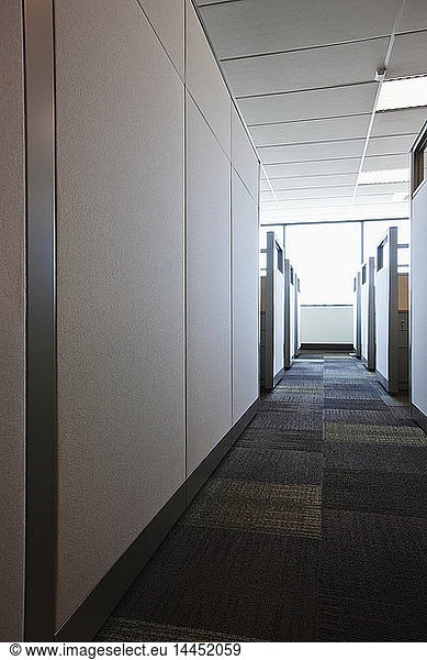 Carpeted Hall with Office Cubicles