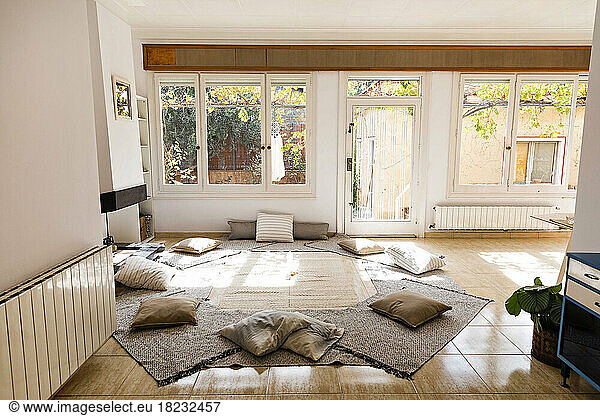 Carpets and pillows arranged on floor at home