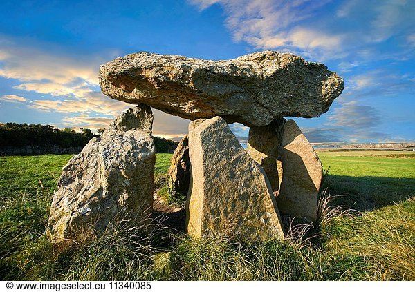 Carreg Samson or Samson’s Stone  a 5000 year old Neolithic dolmen burial chamber  near Abercastle  Pembroke  Wales.