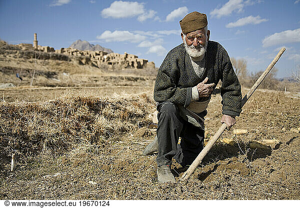 Carrot farmer in Kharanaq  Iran
