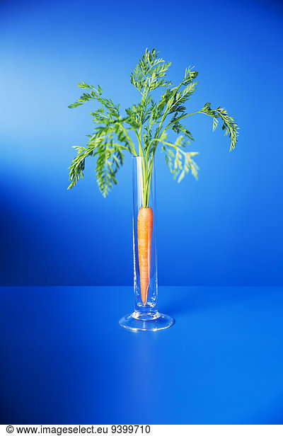 Carrot standing upright in glass on blue counter