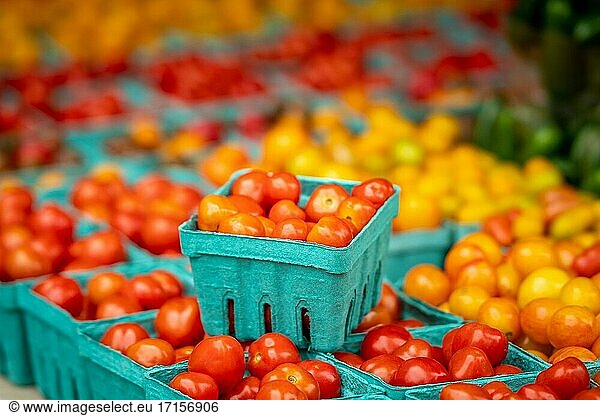 Cartons full of cherry tomatoes for sale at Silver Spring Farmers Market  Silver Spring  MD.