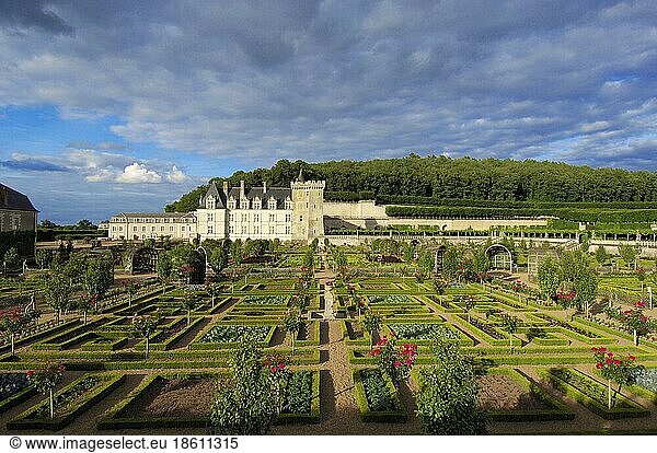 Castle Garden  Loire Valley  Touraine  Chateau de  Villandry Castle  Villandry  Centre  France  Europe