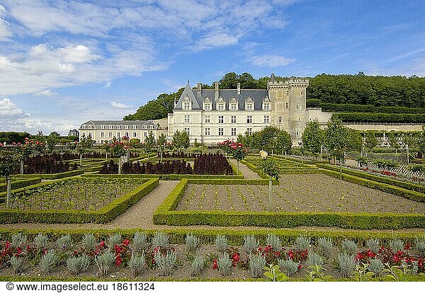 Castle Garden  Loire Valley  Touraine  Chateau de  Villandry Castle  Villandry  Centre  France  Europe