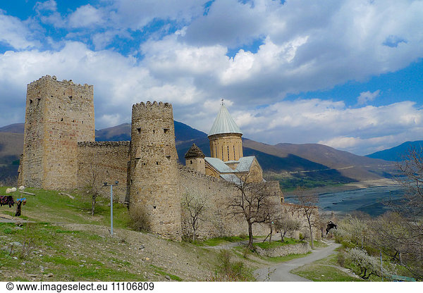 Castle in the countryside of Tbilisi  The Republic of Georgia  Central Asia  Asia